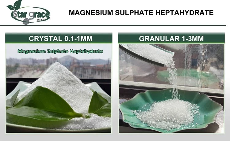 1 Epsom Salt