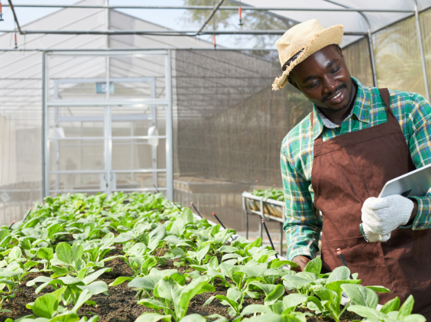 product-626-468 product-626-468