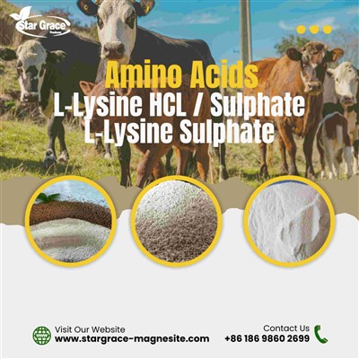 The latest developments in the amino acid market