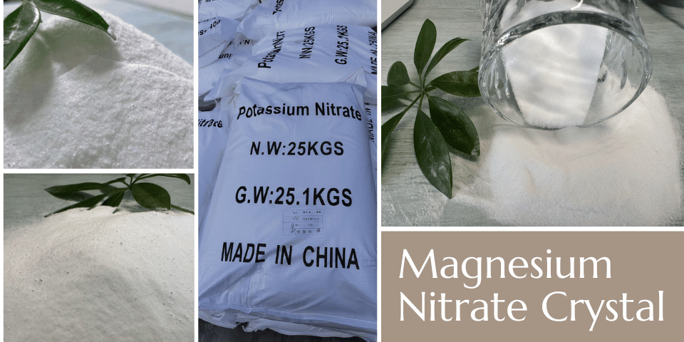 product-960-480 product-960-480