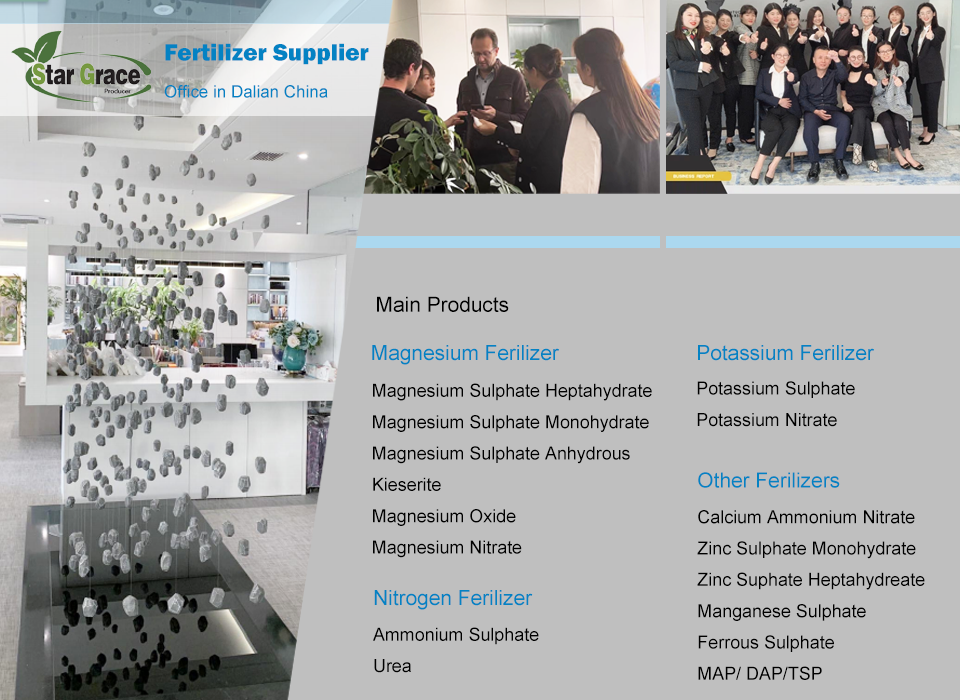 product-960-700 product-960-700