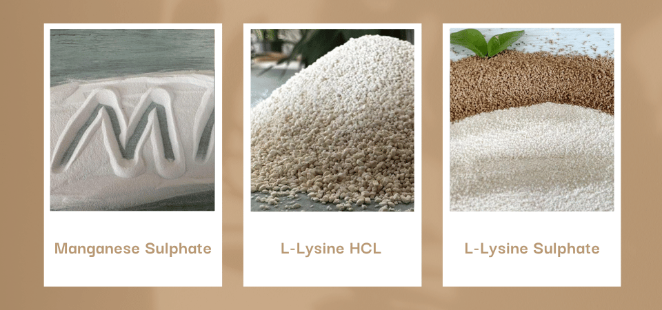 product-960-450 product-960-450