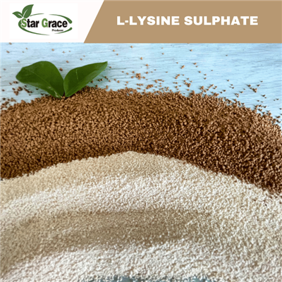 Animal Nutrition L-Lysine Sulphate