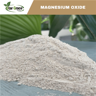 Caustic Calcined Magnesite Powder for Fuel Additives
