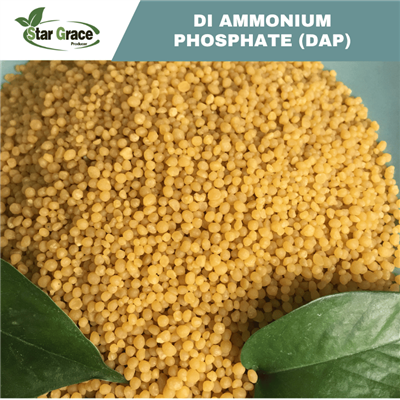 DAP 18-46-0 Fertilizer Prices