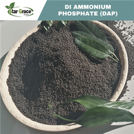 DAP