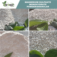 Kieserite Granular Fertilizer Grade