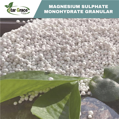 Kieserite Magnesium Sulphate