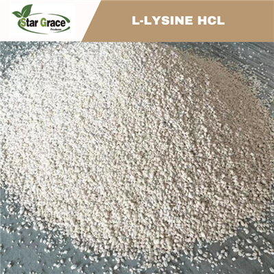 L-Lysine HCL 98.5% Feed Grade