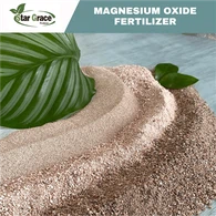 Light Burned Magnesium Oxide Powder