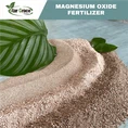 Magnesium Oxide (MgO) to Price in Thanksgiving