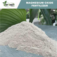Magnesium Oxide Powder to South Africa Market