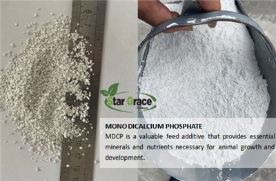 MDCP Monodicalcium Phosphate to Vietnam