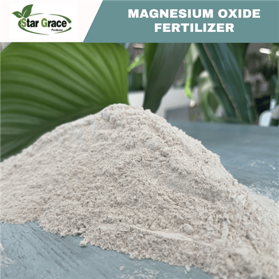 MgO Magnesium Oxide Powder