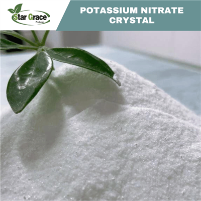 Potassium Nitrate Purification