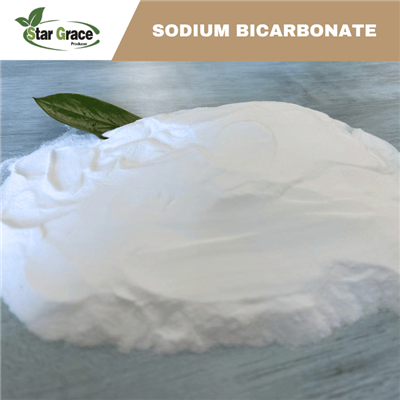 Sodium Bicarbonate Powder