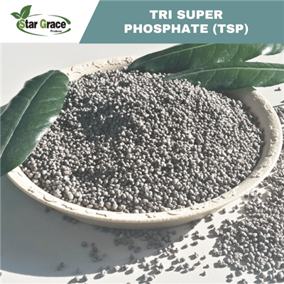 Triple Super Phosphate TSP
