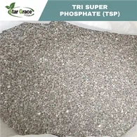 TSP Fertilizer