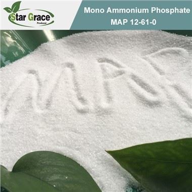 Monoammonium Phosphate