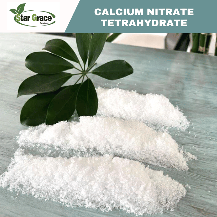 Positive Effect of Calcium Salt o Soybeans