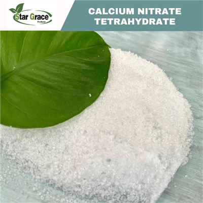 Positive Effect of Calcium Salt o Soybeans