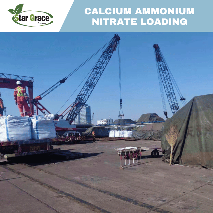 Ammonium Calcium Nitrate