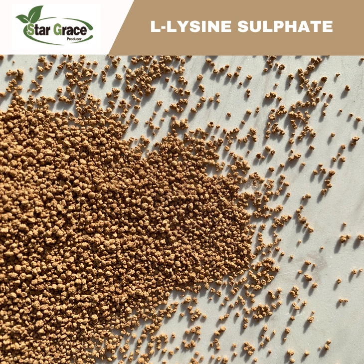 Animal Nutrition L-Lysine Sulphate