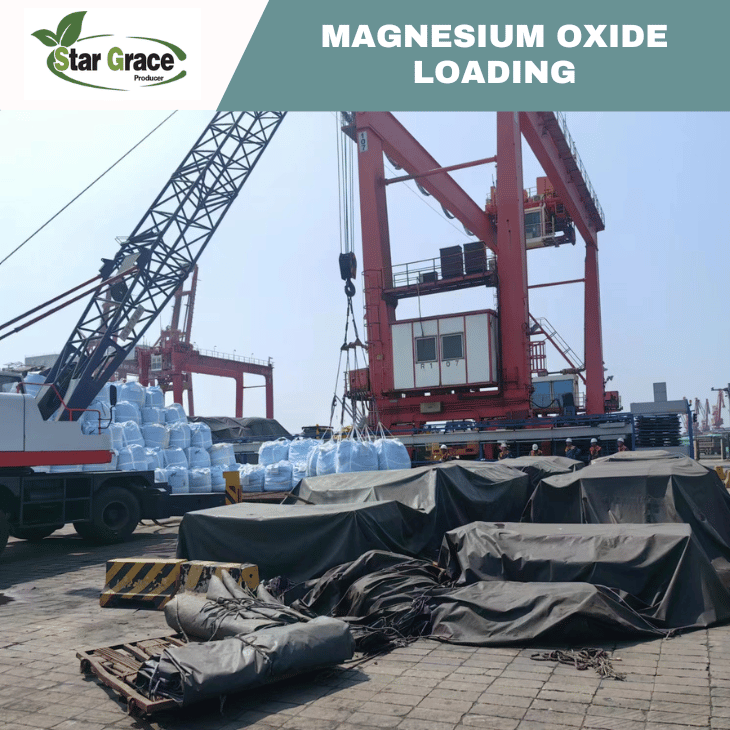 Caustic Calcined Magnesite Powder 75%