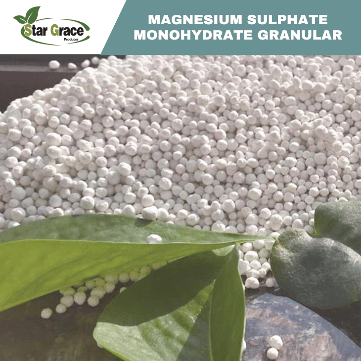 Kieserite MgSO4