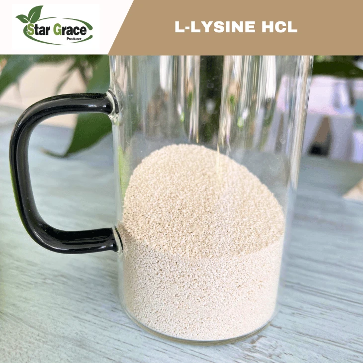L-Lysine HCI MSDS