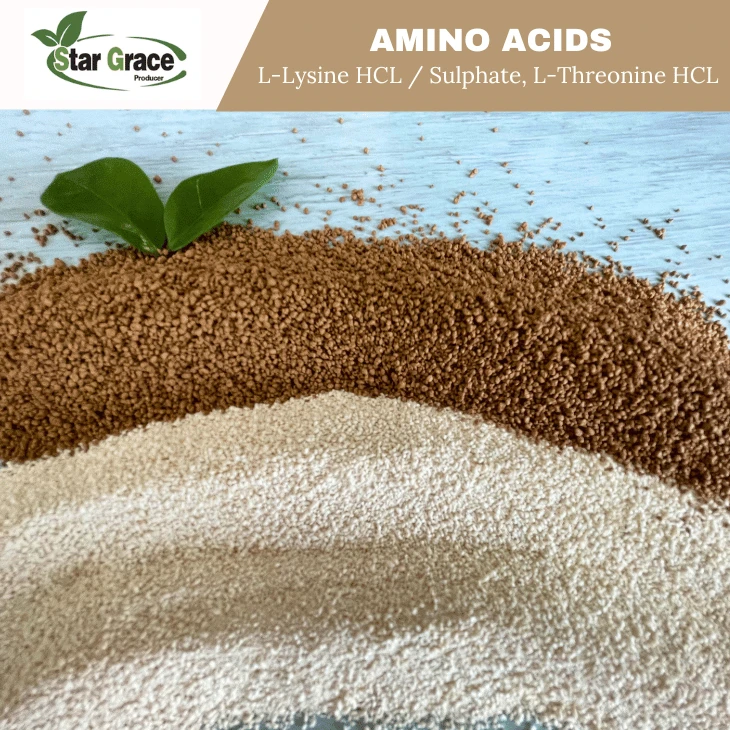 L-Lysine Sulphate Manufactory