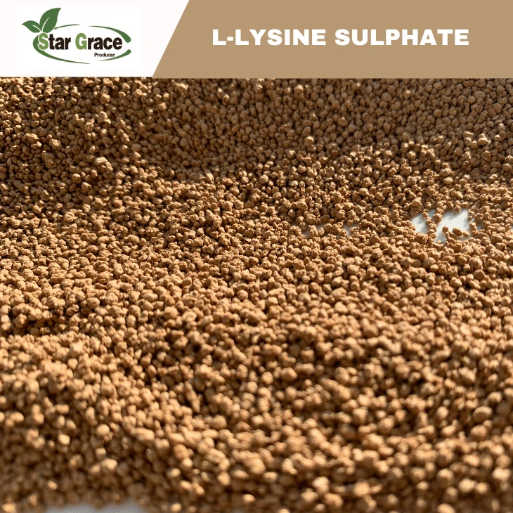 L-Lysine Sulphate With Golden Corn Brand