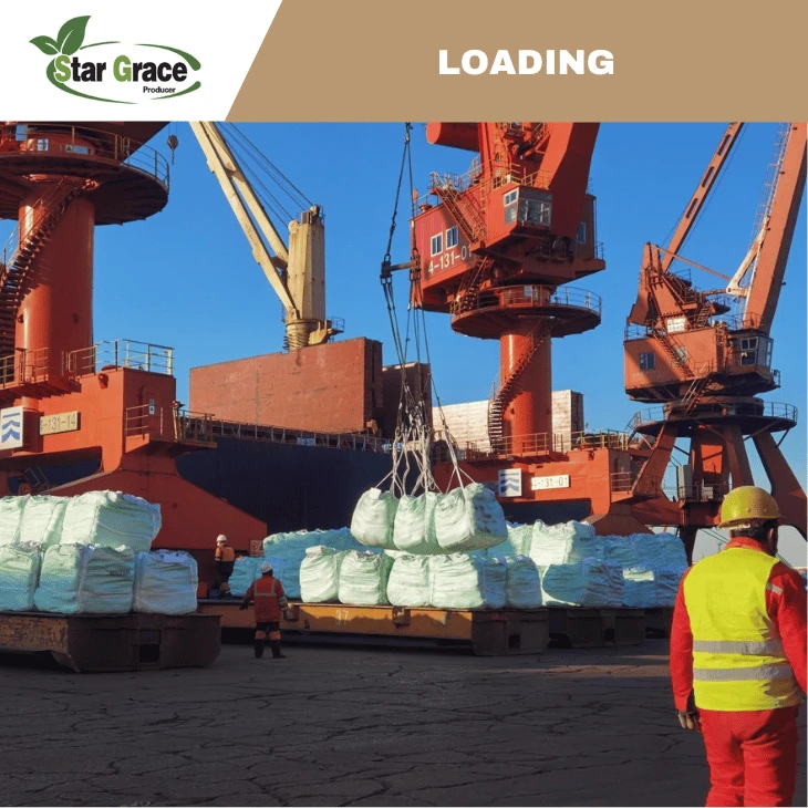 L-Threonine Feed Additives