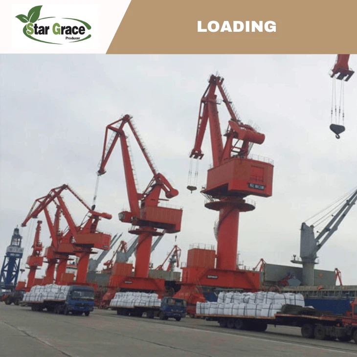 L-Threonine Feed Grade