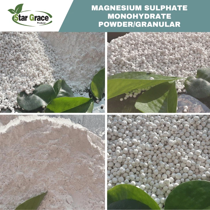 Magnesium Sulfate Monohydrate Fertilizer Grade
