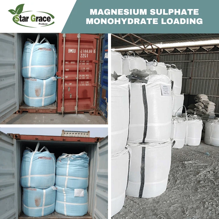 Magnesium Sulfate Monohydrate Fertilizer Grade