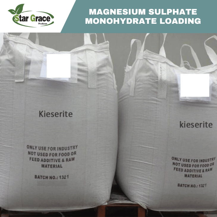 Magnesium Sulphate Monohydrate