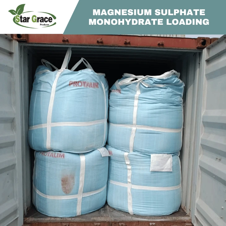 Magnesium Sulphate Monohydrate MgSO4·H2O