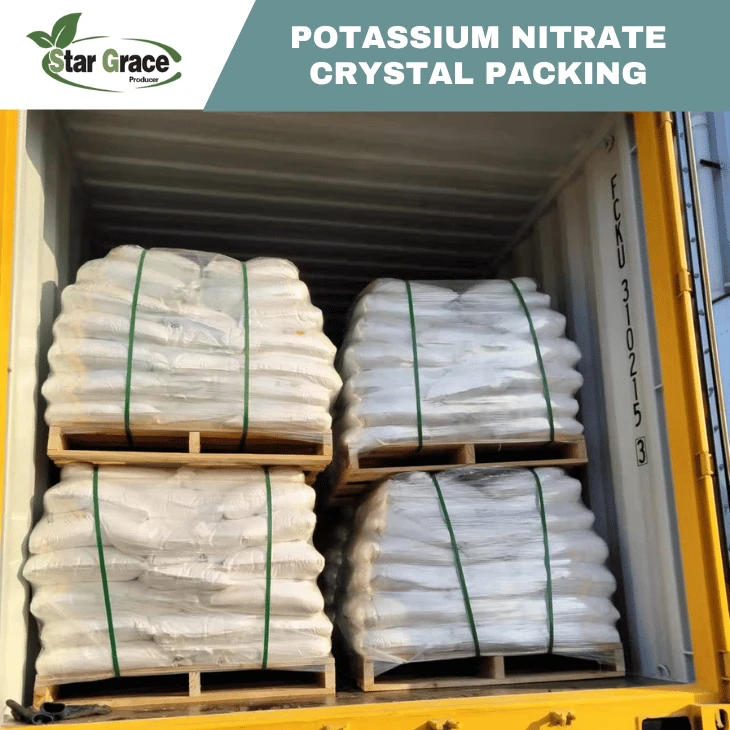Potassium Nitrate Dissolution