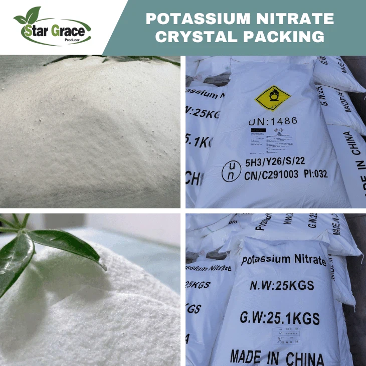 Potassium Nitrate in Nature