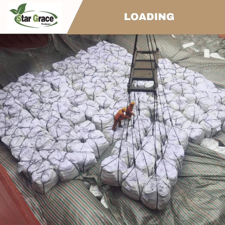 The Role of Dicalcium Phosphate(DCP) in Animal Feed