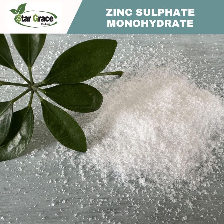 Zinc Sulphate Powder